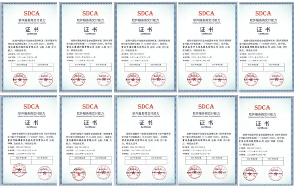 恭喜，，，，重庆首批10家单位通过软件服务商交付能力评估